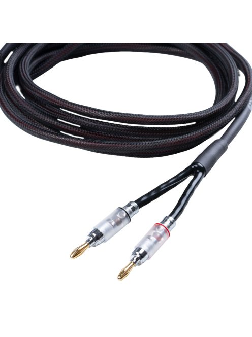 Pro-Ject MaiA DS3 /fekete/ + Acoustic Energy AE309.2 /fekete/ + Pro-Ject Connect it LS S