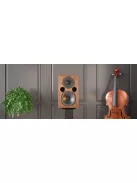 Acoustic Energy AE1 40th Anniversary Edition /lakk dió/