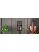 Acoustic Energy AE1 40th Anniversary Edition /lakk fekete/
