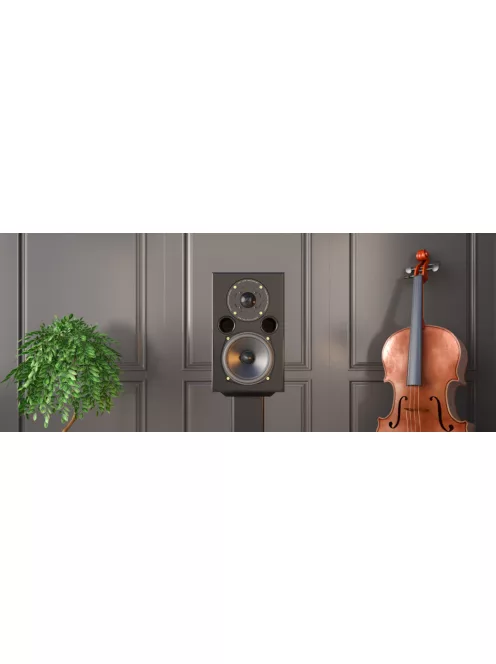 Acoustic Energy AE1 40th Anniversary Edition /lakk fekete/