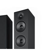 Acoustic Energy AE309.2 - álló hangfal /fekete/