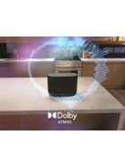 Denon HOME 400 - vezeték nélkül hangszóró /ezüst/