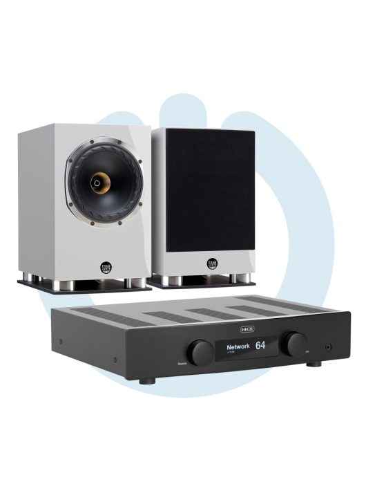 HEGEL H95 + FYNE Audio F500SP hálózatos erősítő és prémium hangfalak /Fekete + Lakk fekete/