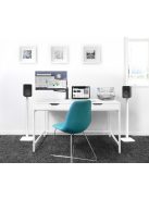 Kanto Audio YU4 Aktív Bluetooth hangfal /Matt fekete/