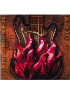  United Blues Experience: Soul On Fire