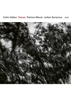 Colin Vallon: Danse