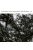 Colin Vallon: Danse