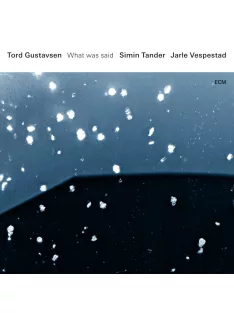 Tord Gustavsen, Simin Tander, Jarle Vespestad: What Was Said