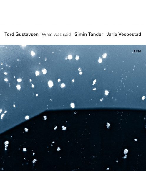 Tord Gustavsen, Simin Tander, Jarle Vespestad: What Was Said