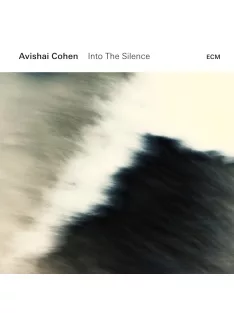 Avishai Cohen: Into The Silence