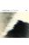 Avishai Cohen: Into The Silence