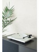 Pro-Ject Acryl IT E, acryl lemeztányér