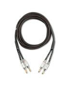 Pro-Ject MaiA DS3 /fekete/ + Acoustic Energy AE309.2 /fekete/ + Pro-Ject Connect it LS S /2x3 m/