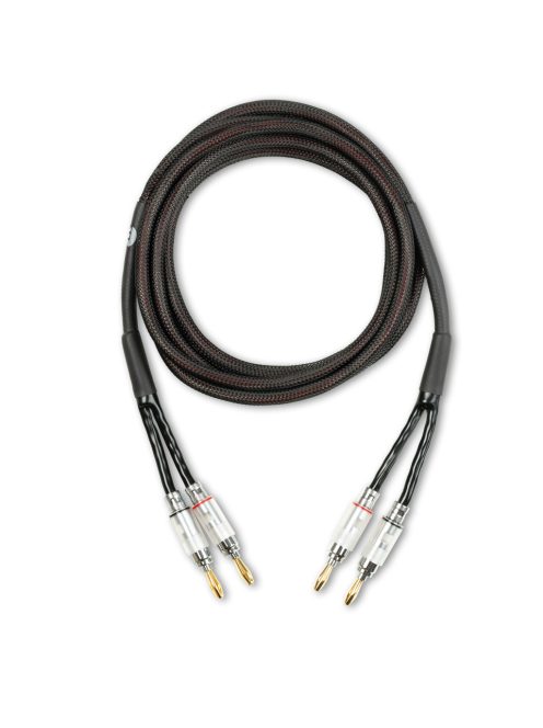 Pro-Ject MaiA DS3 /fekete/ + Acoustic Energy AE309.2 /fekete/ + Pro-Ject Connect it LS S /2x3 m/