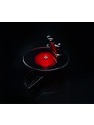 Pro-Ject AC/DC Limited Edition lemezjátszó - Ortofon 2M Red hangszedővel