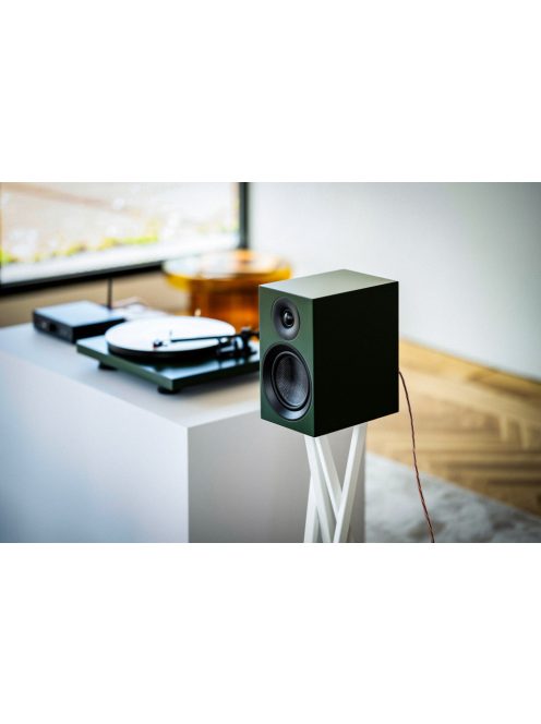 Pro-Ject Színes Hangrendszer E - komplett hifi szett /fenyő zöld/