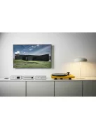 Pro-Ject Uni Box S3 - Sztereó erősítő és multiroom streamer /ezüst/