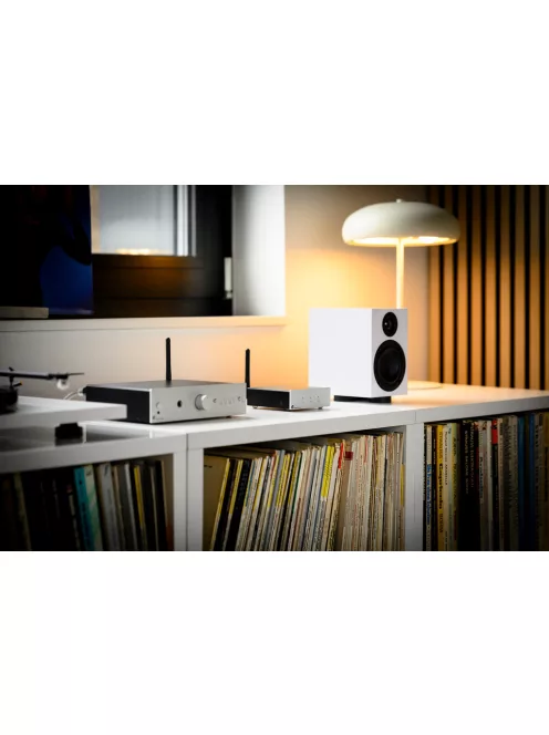 Pro-Ject Stream Box E - Hálózati lejátszó és multiroom streamer /ezüst/