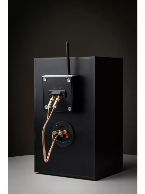 Pro-Ject Wireless Box E - wifis aktív erősítő modul passzív hangsugárzóhoz /fekete/