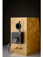 Pro-Ject Wireless Box E - wifis aktív erősítő modul passzív hangsugárzóhoz /fekete/