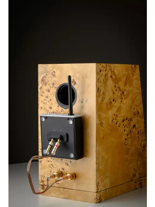 Pro-Ject Wireless Box E - wifis aktív erősítő modul passzív hangsugárzóhoz /fekete/