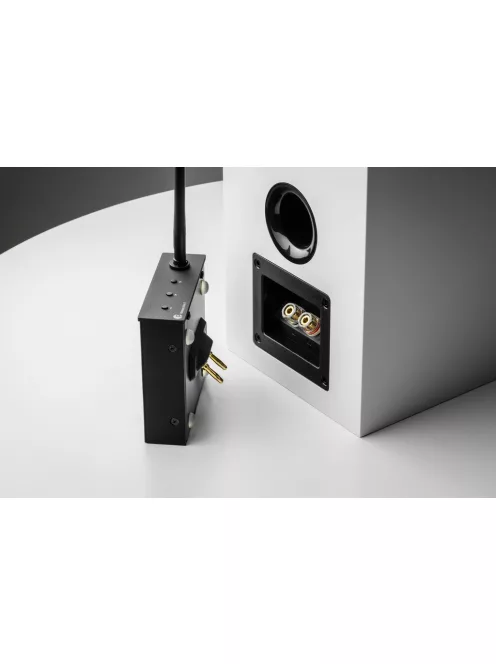 Pro-Ject Wireless Box E - wifis aktív erősítő modul passzív hangsugárzóhoz /fekete/