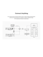 Rose RS151 - Streamer, D/A konverter/ezüst/